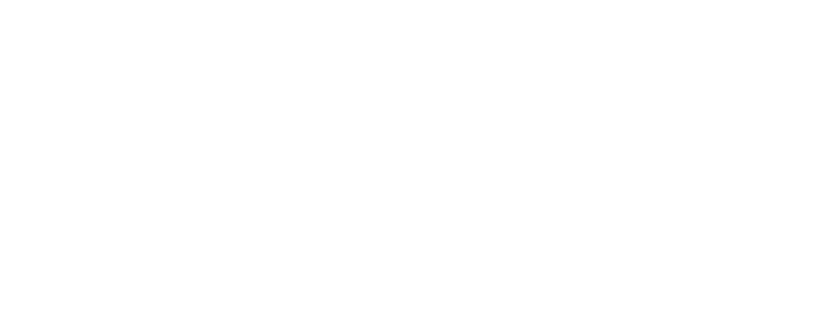 Diogo Garcia — Website Developer