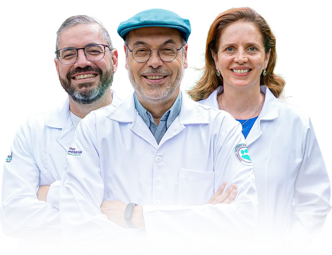 Professores Bioethicus