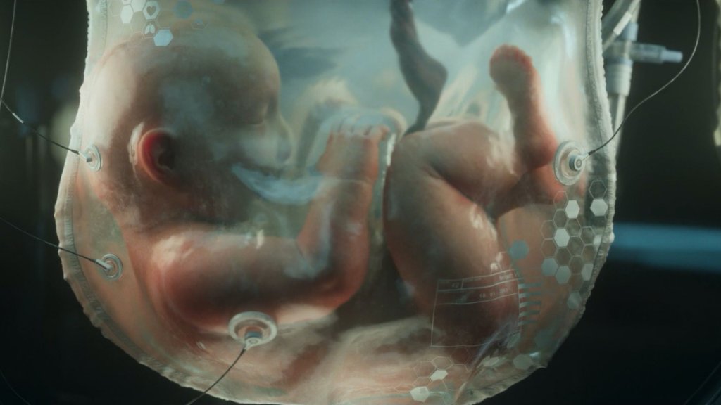 Baby in synthetic sack — the clone