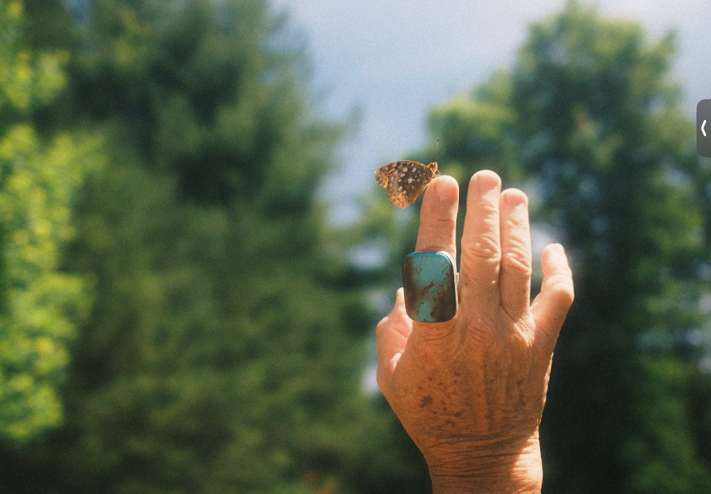 Butterfly and ring