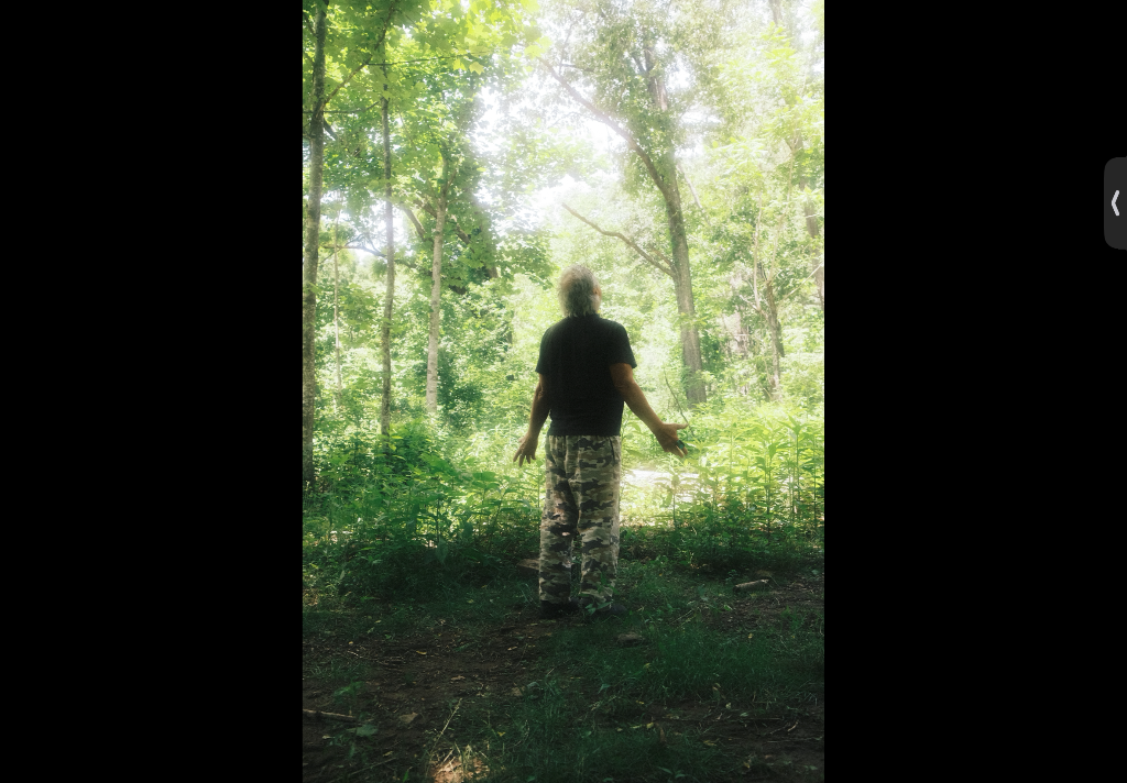 In the forest