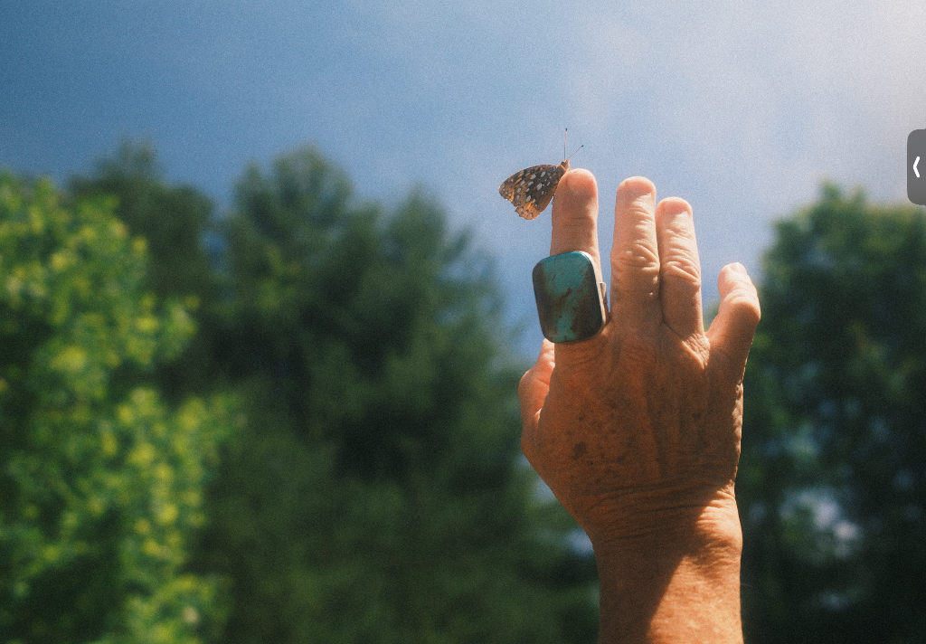 Hand with butterfly