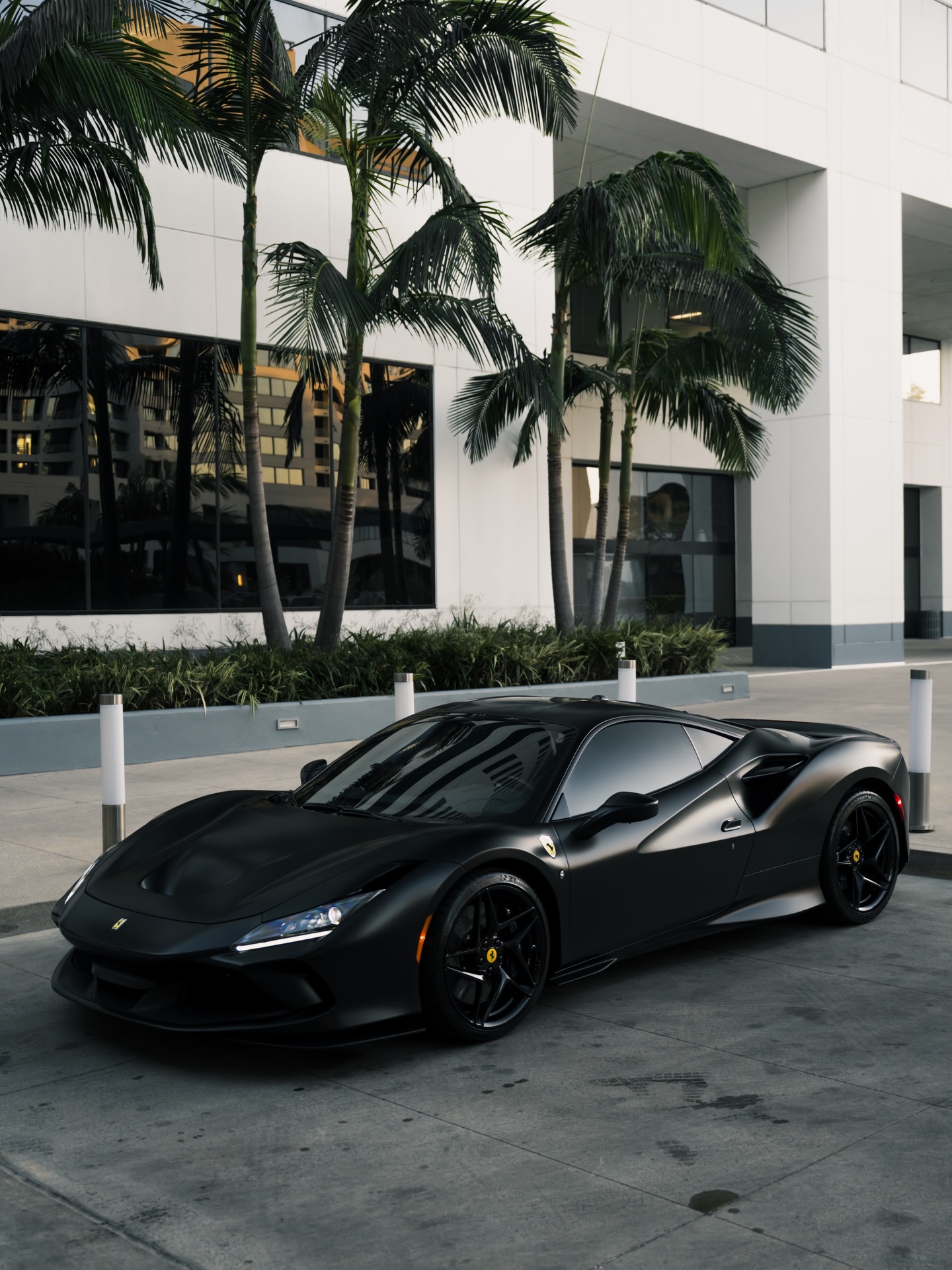 Prime Exotics on Instagram