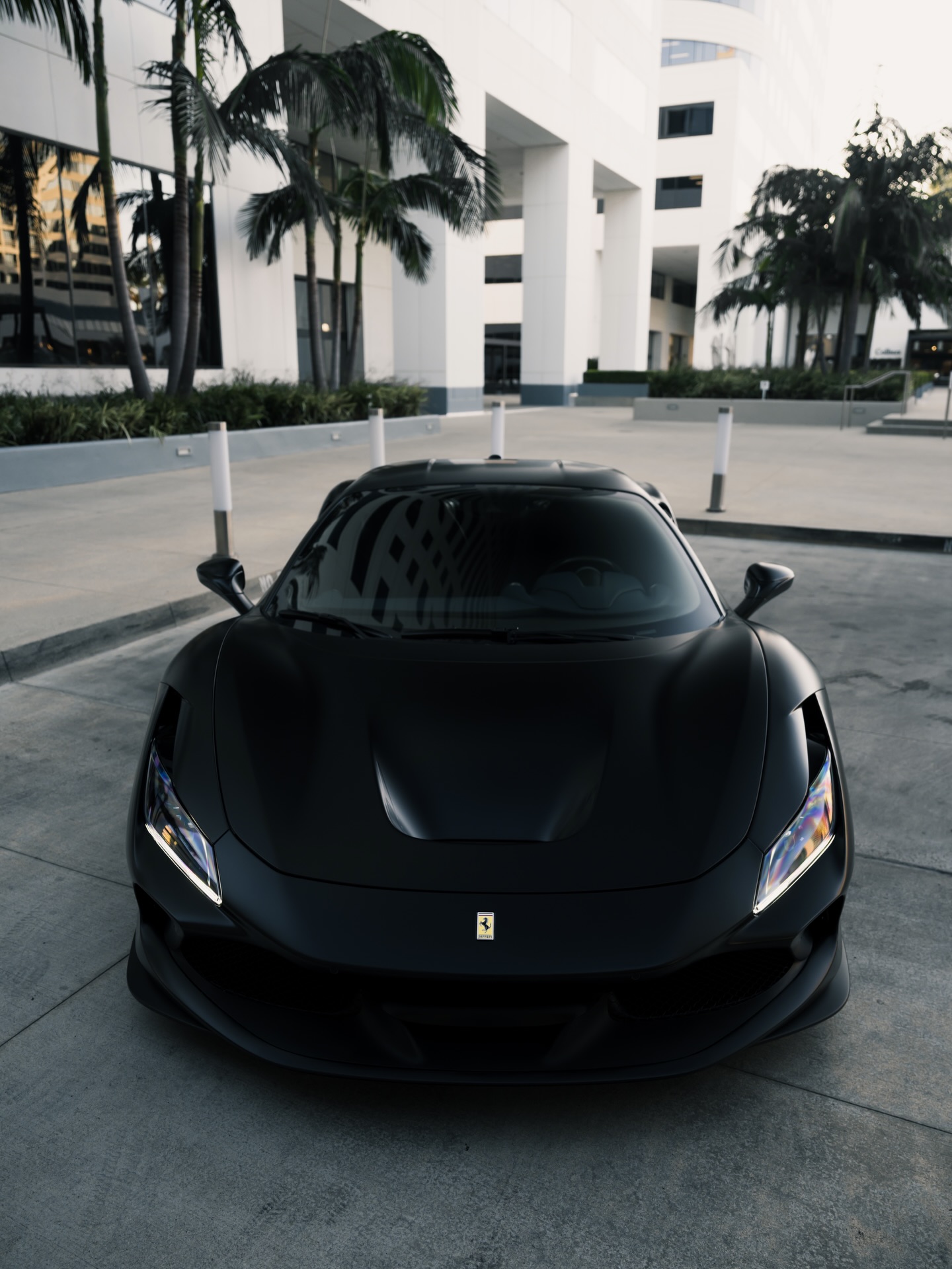 Prime Exotics on Instagram