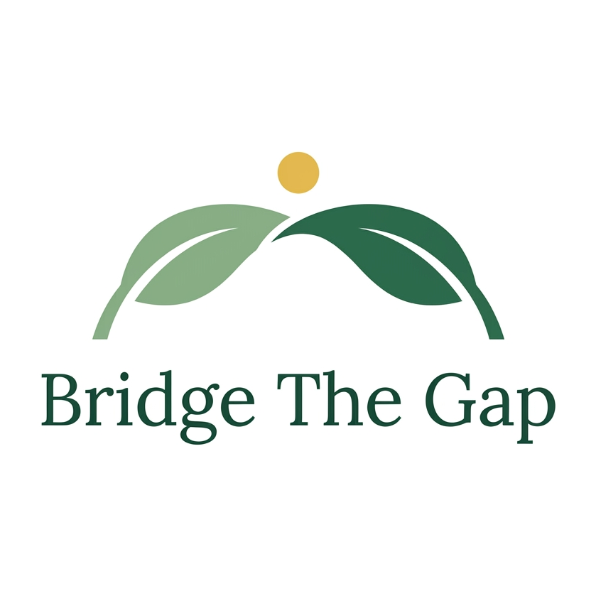 Bridge The Gap