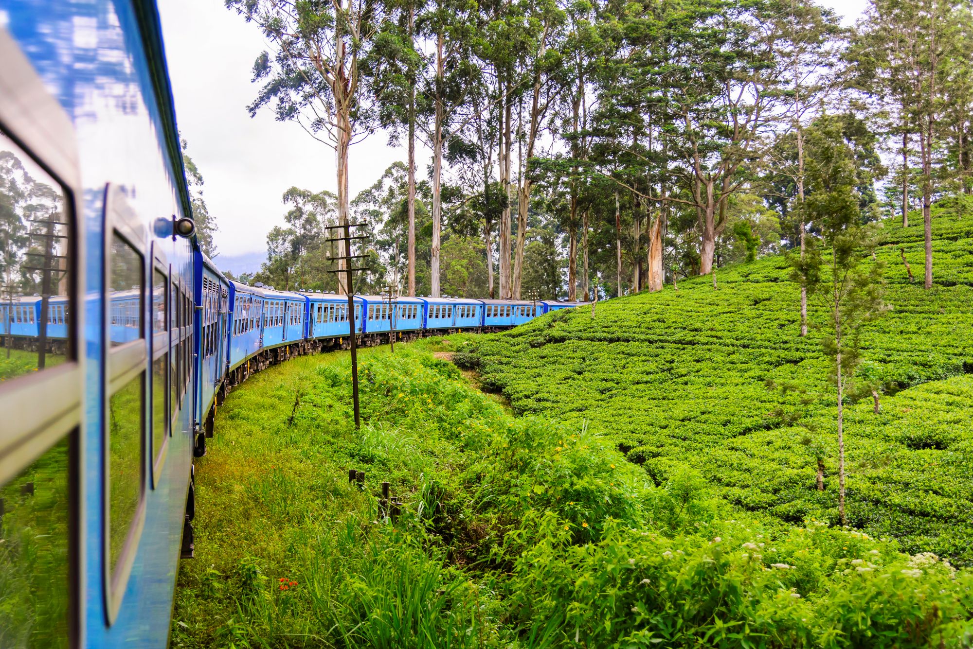 Plan your journey