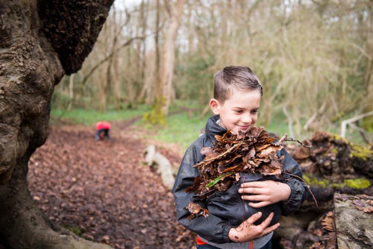 Cub Scout carrying leaves in the woods