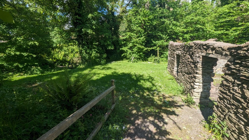 Campsite photo 7