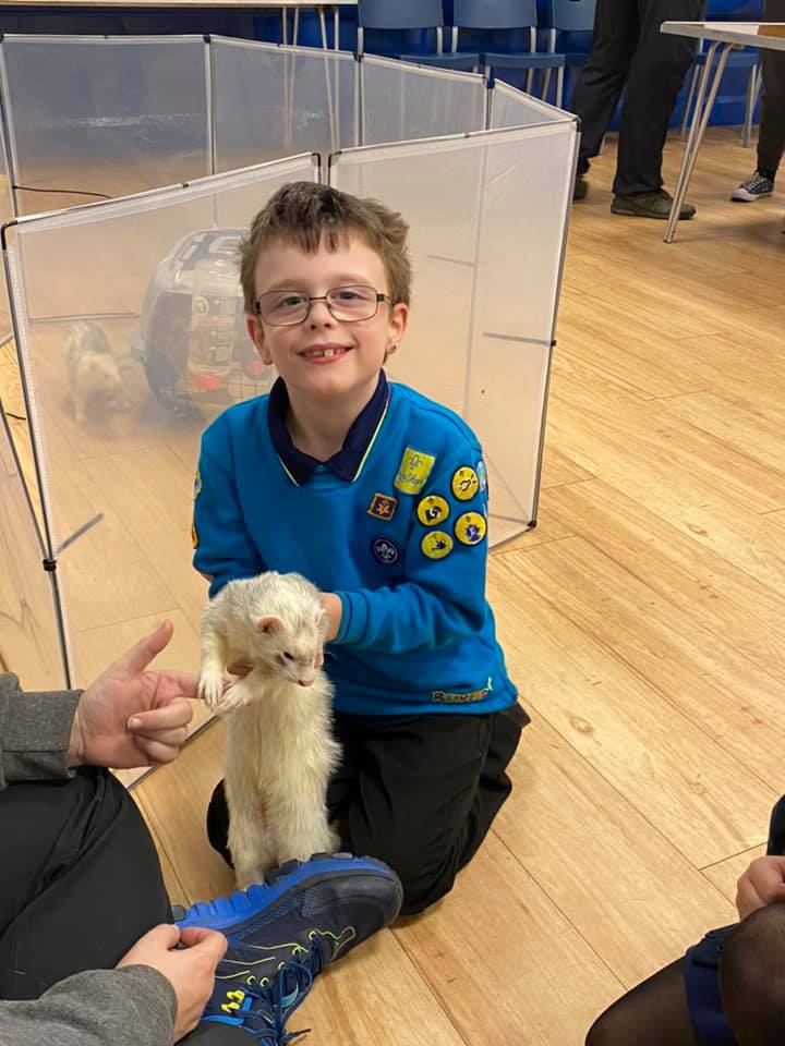 Scout with a ferret