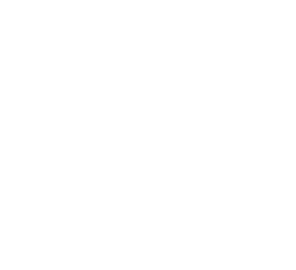 Scouts logo