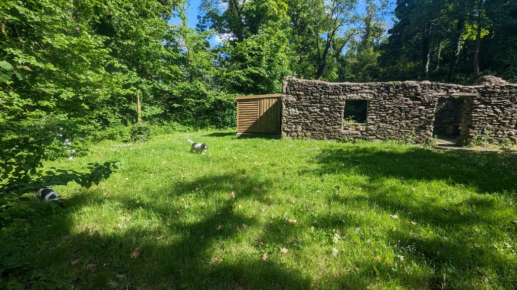 Campsite photo 19