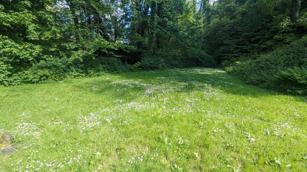 Campsite photo 10