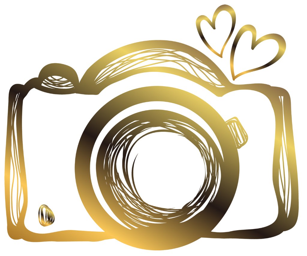 The Guests Lens