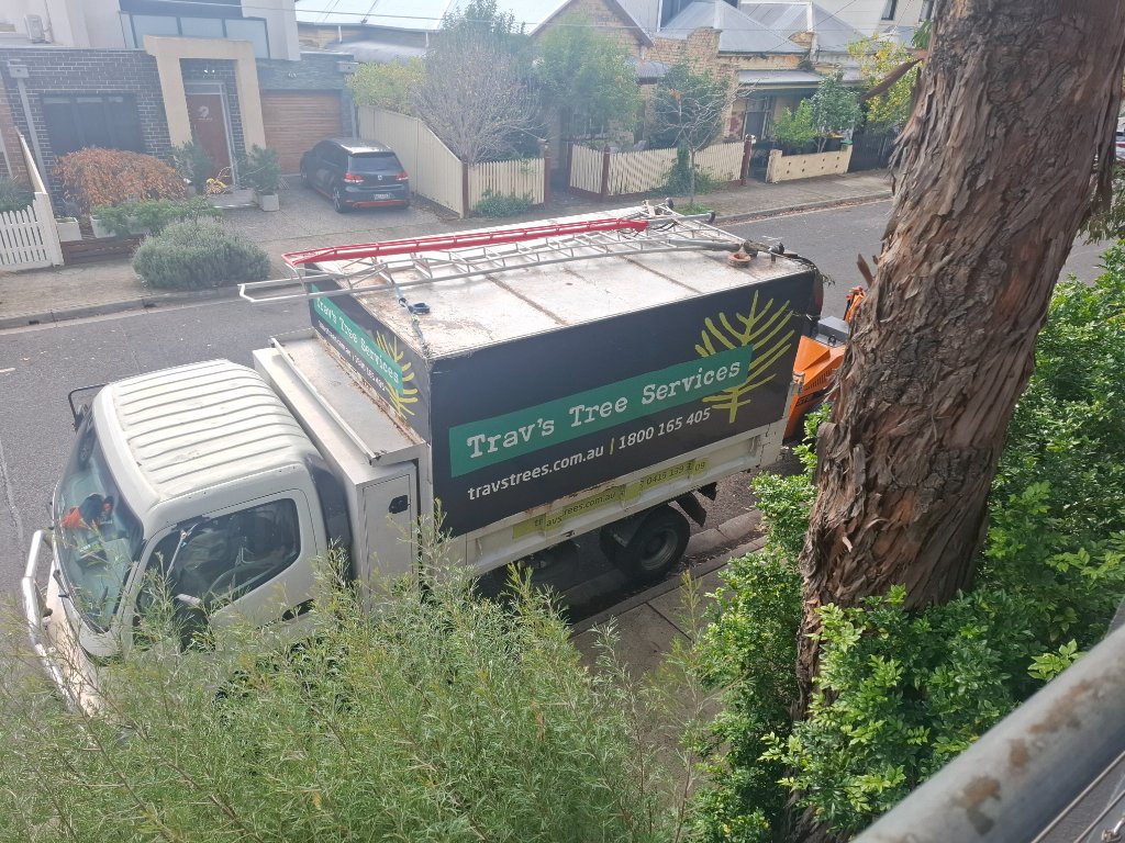 Trav's Tree Services truck