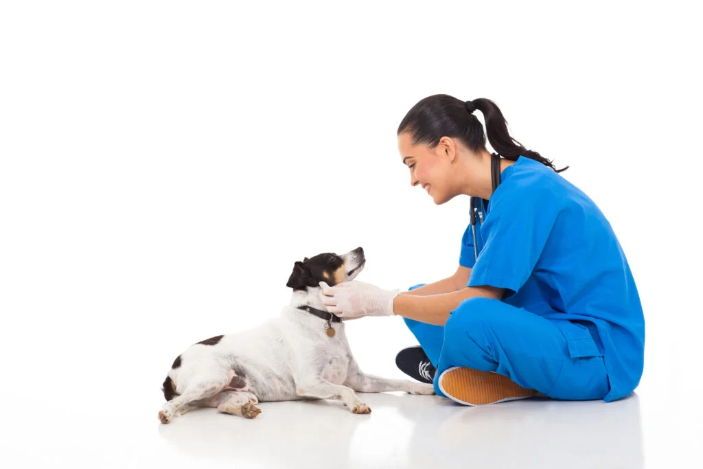 TCE Avançado em Pequenos Animais
