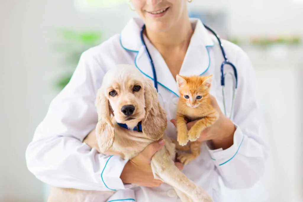 Técnicas Infiltrativas em Pequenos Animais