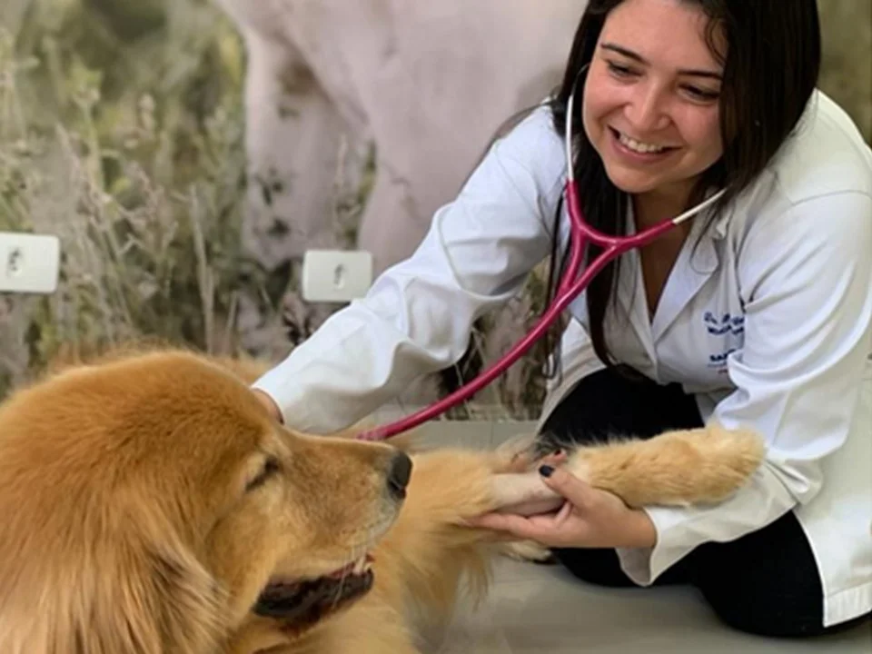 Introdução à Pneumologia Veterinária