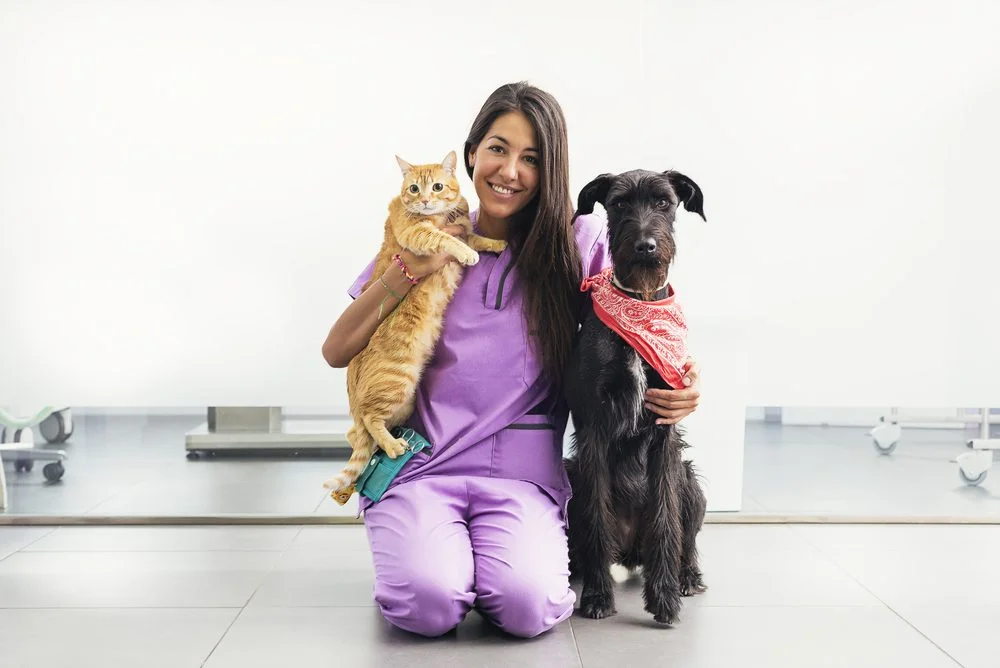 Tratamento Integrativo da Dor em Pequenos Animais