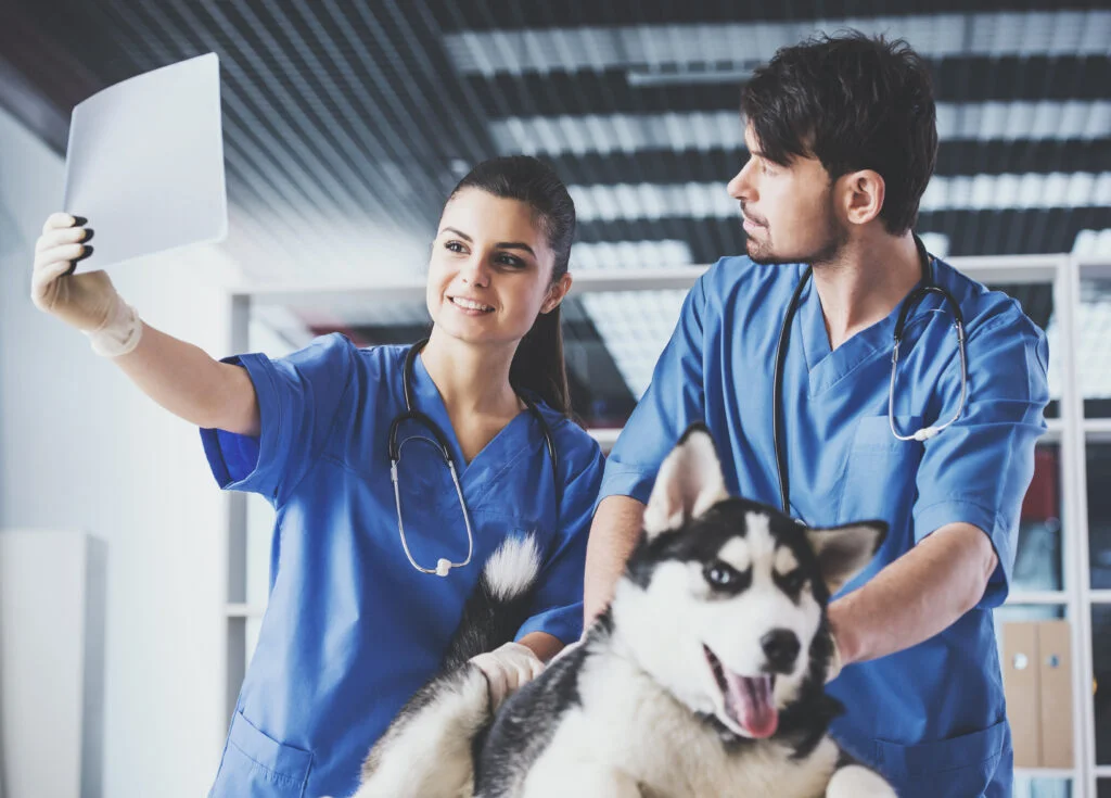 Abordagem de TRM em Pequenos Animais