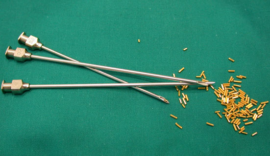 Implante de Ouro na Acupuntura Veterinária