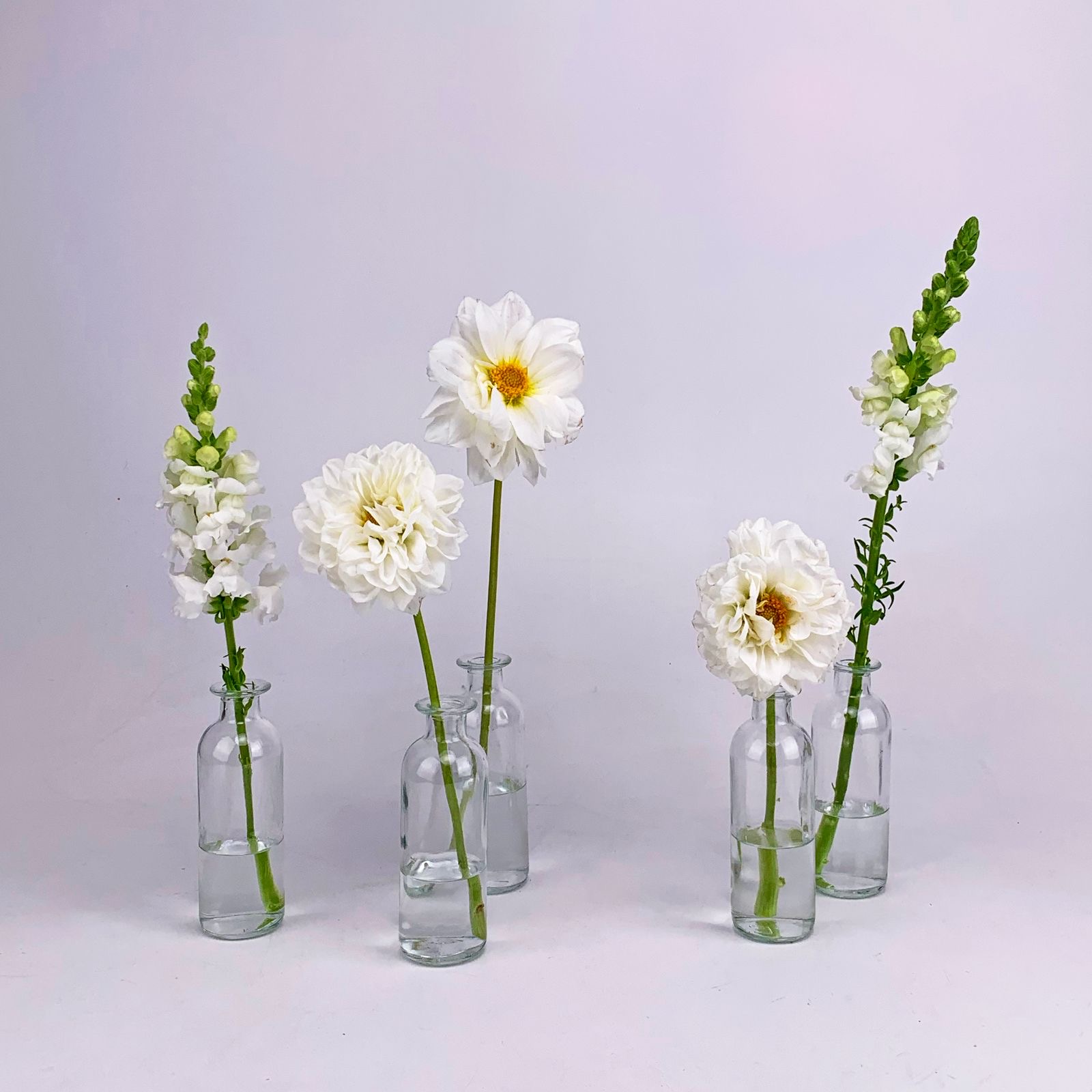A row of small clear glass bud vases