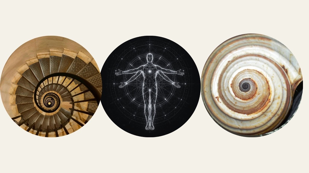 Nature, the human body and the beauty of intelligent design