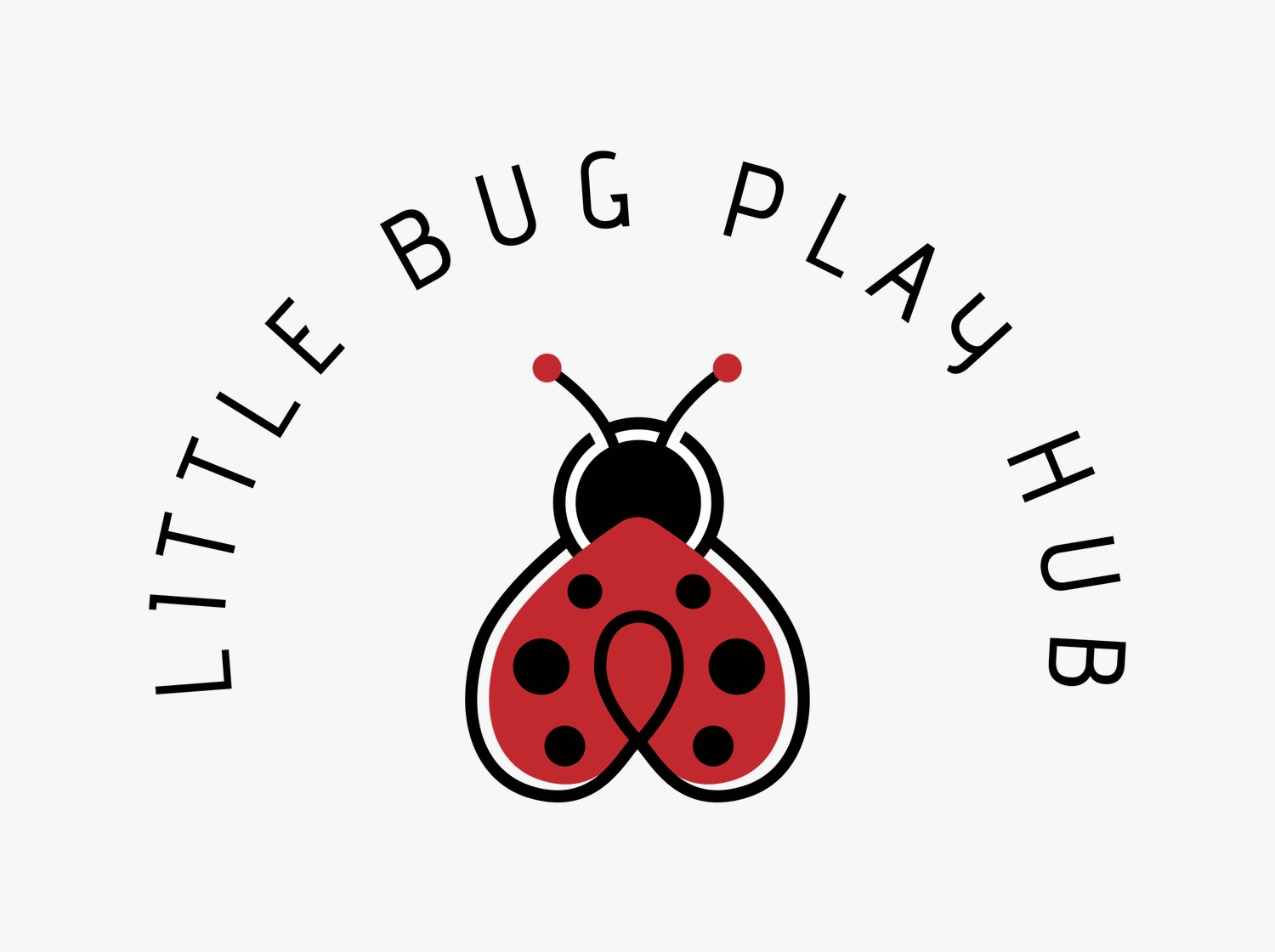 Little Bug Play Hub