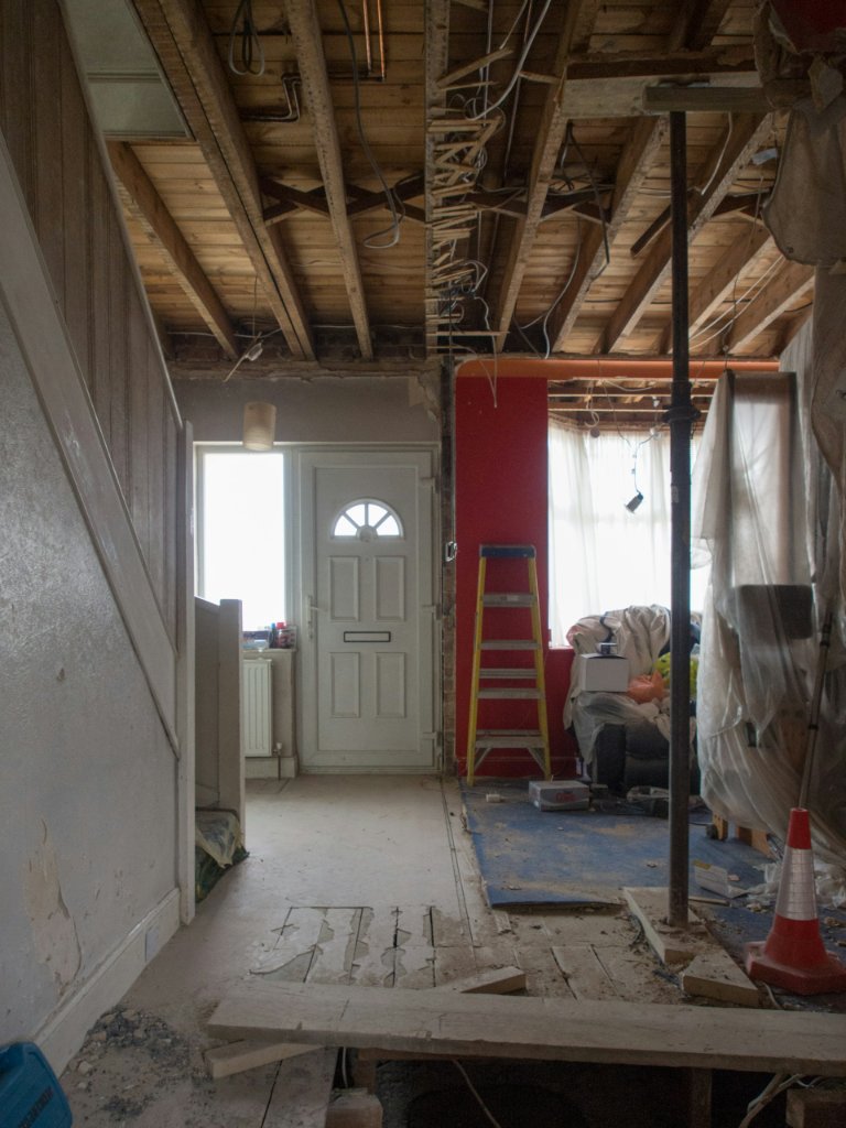Mold Inspection
