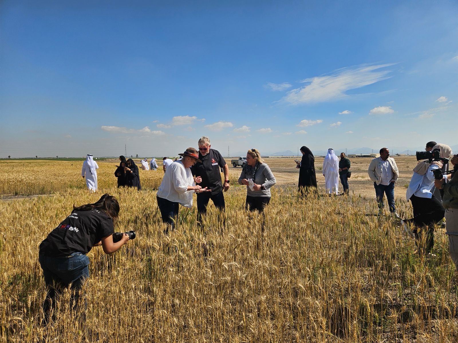 Weizenfelder in den Emiraten — Medientermin zum Thema Mehl aus der Wüste