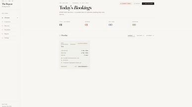 RepeatFlow template preview
