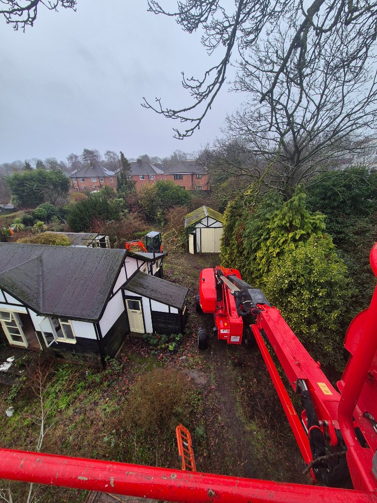 Tree Surgery — Cherry picker access for safe crown work on a mature tree.
