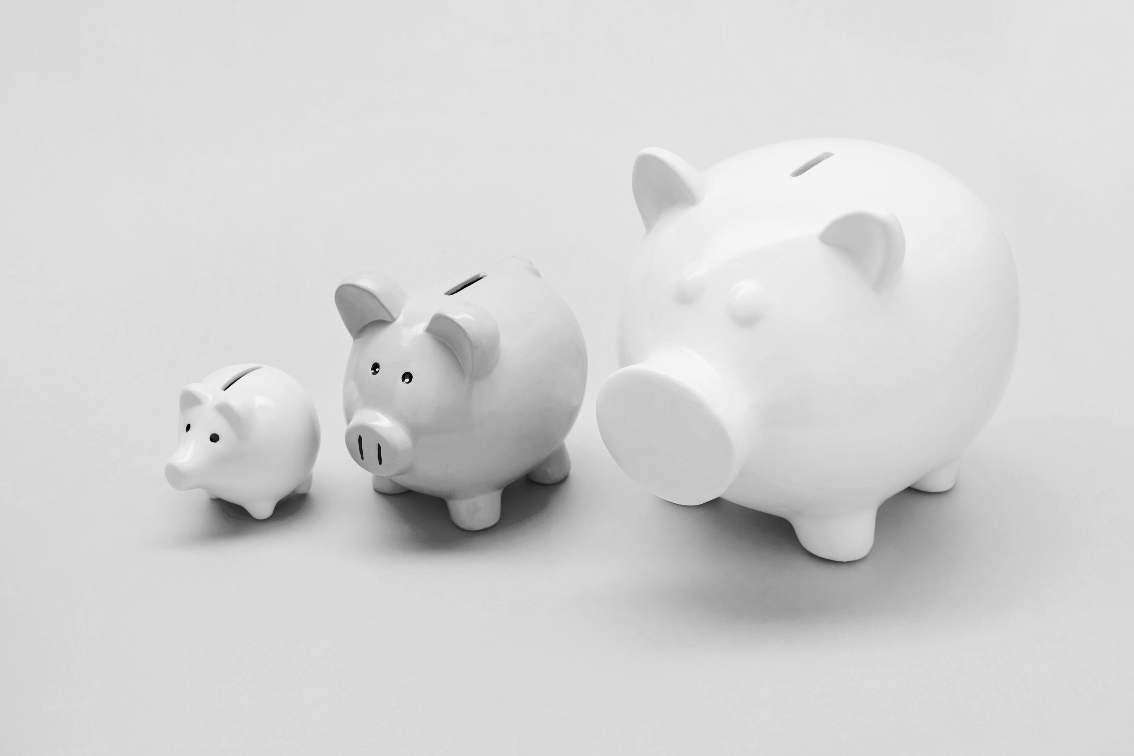 Three white ceramic piggy banks in increasing sizes arranged in a row against a light grey studio background