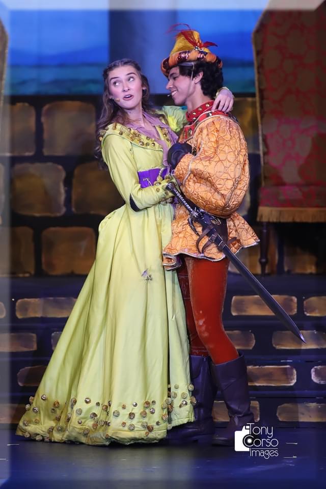 Once Upon a Mattress