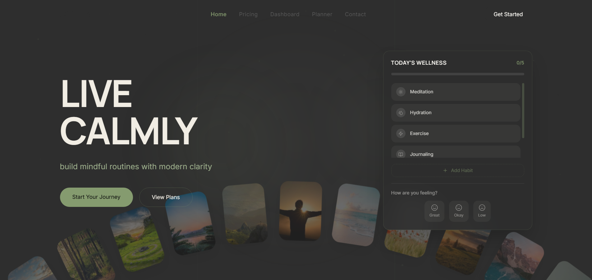 Solen  template preview