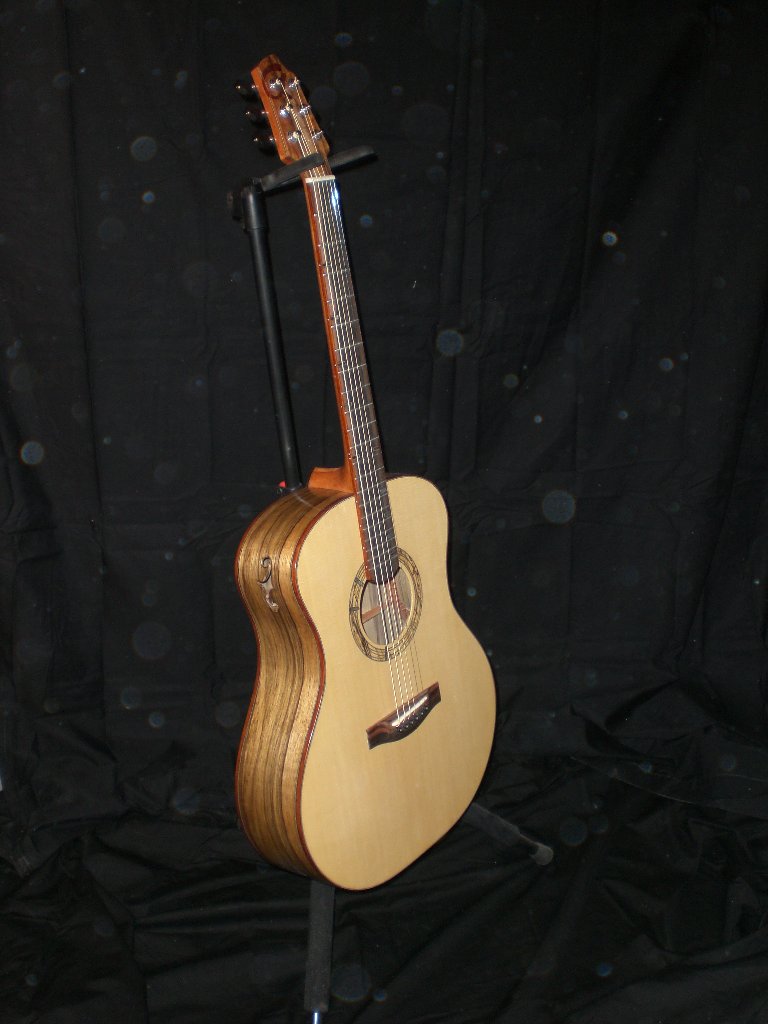 An early Alis Guitars build displayed on a stand