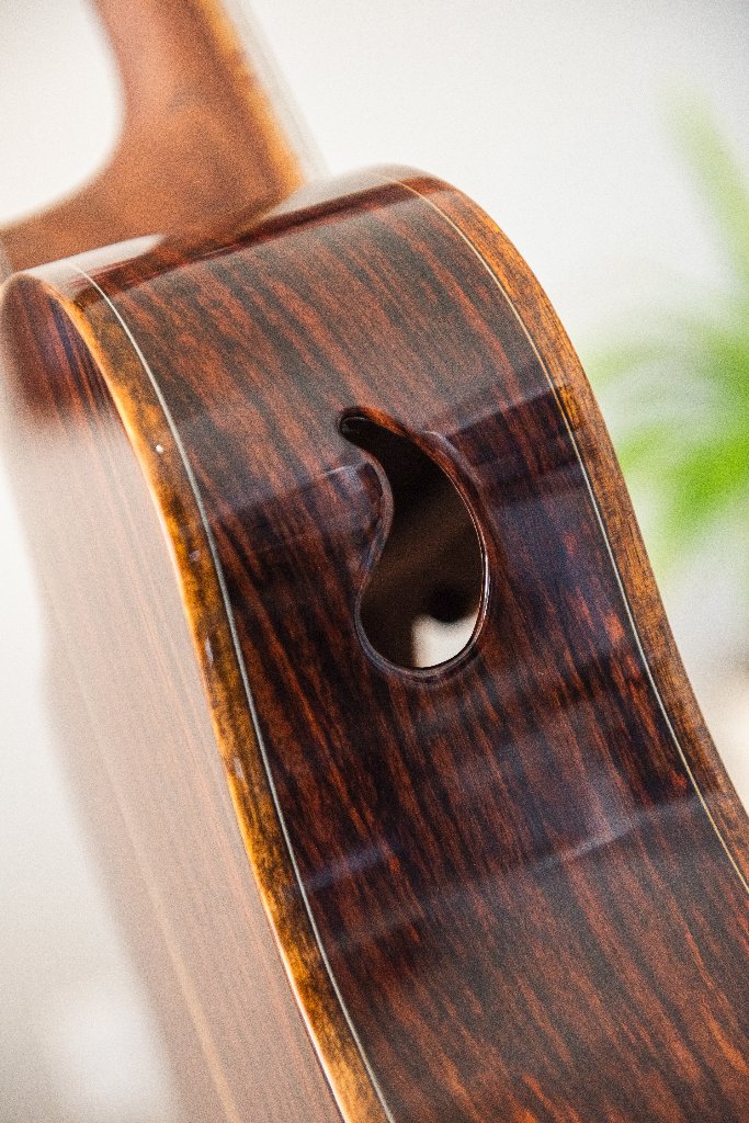 Indian Rosewood Siñ