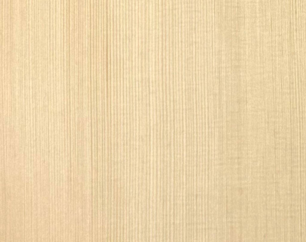 European Spruce