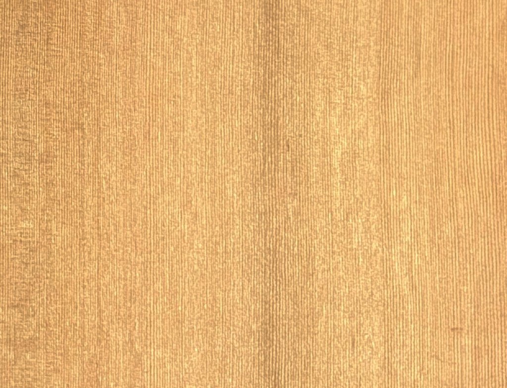 Redwood