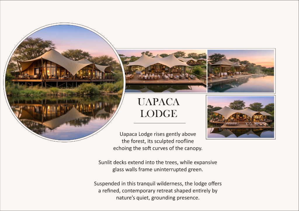 Uapaca Lodge