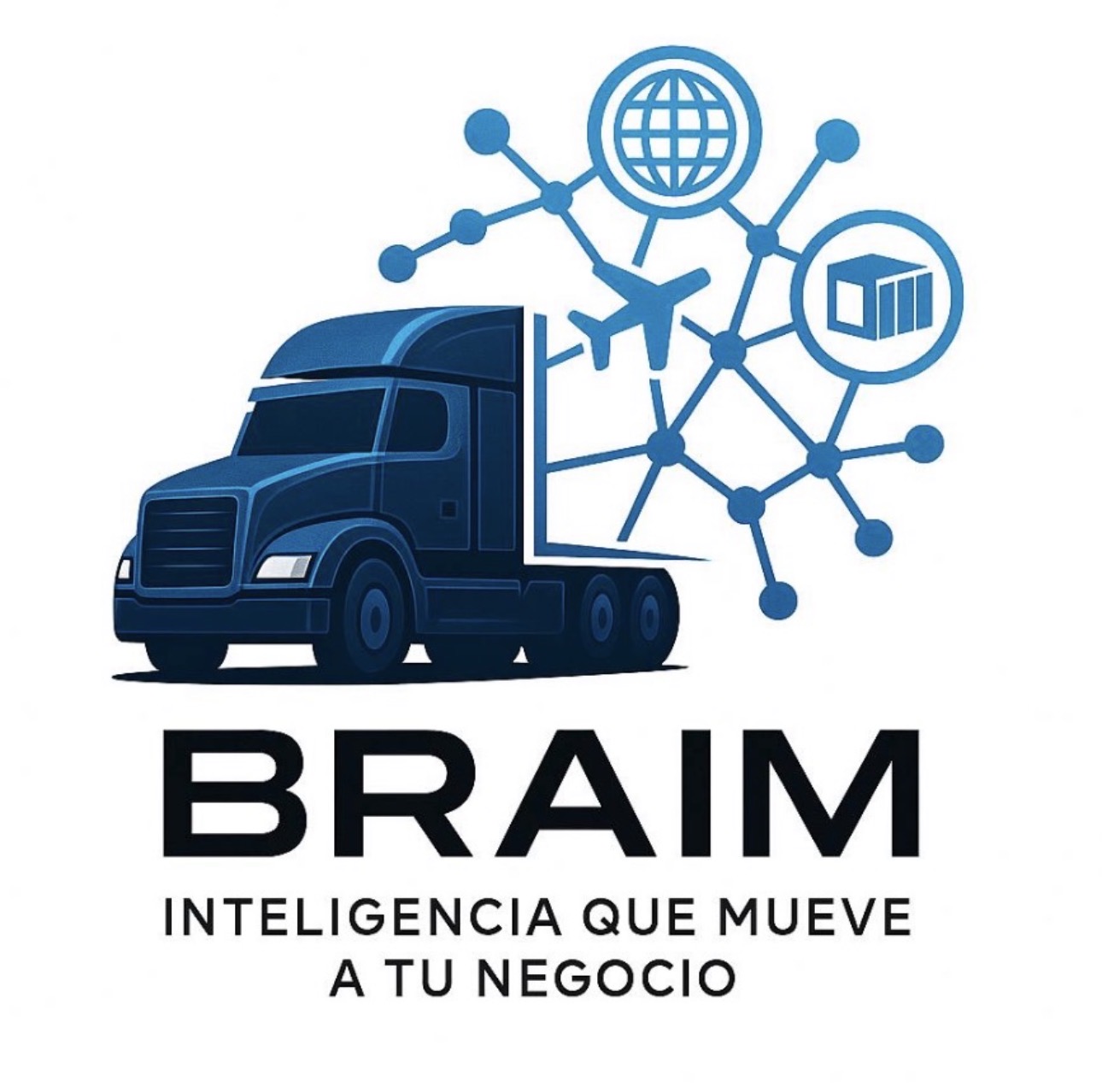 Braim Logistica logo
