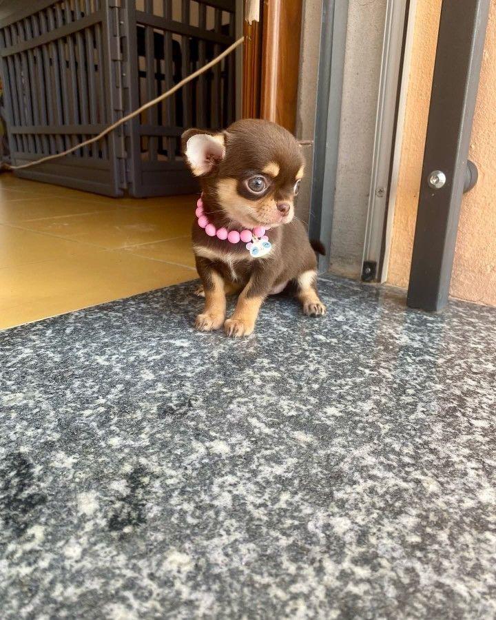 Sofia M.