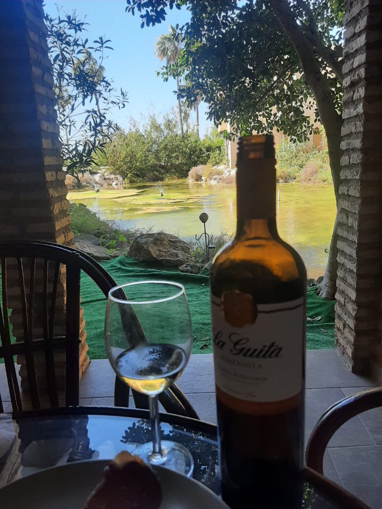 Manzanilla con vistas al lago natural de la urbanización Bahía Sur