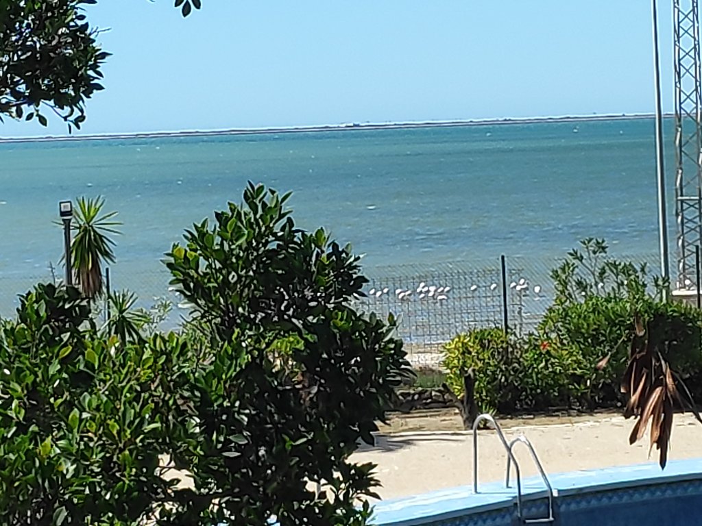 Panorámica de la Bahía de Cádiz