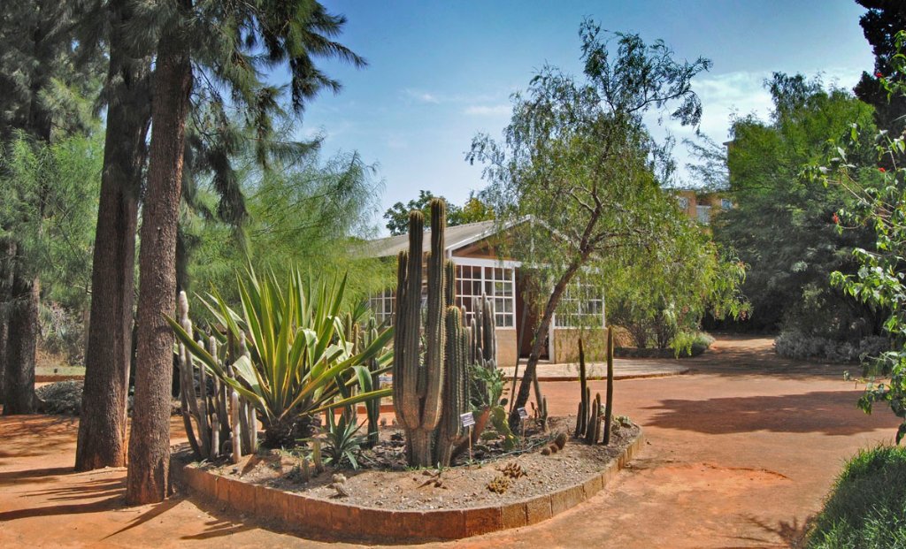 Jardín Botánico de San Fernando