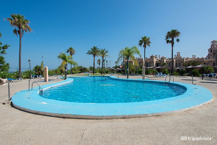 Piscina palmeras