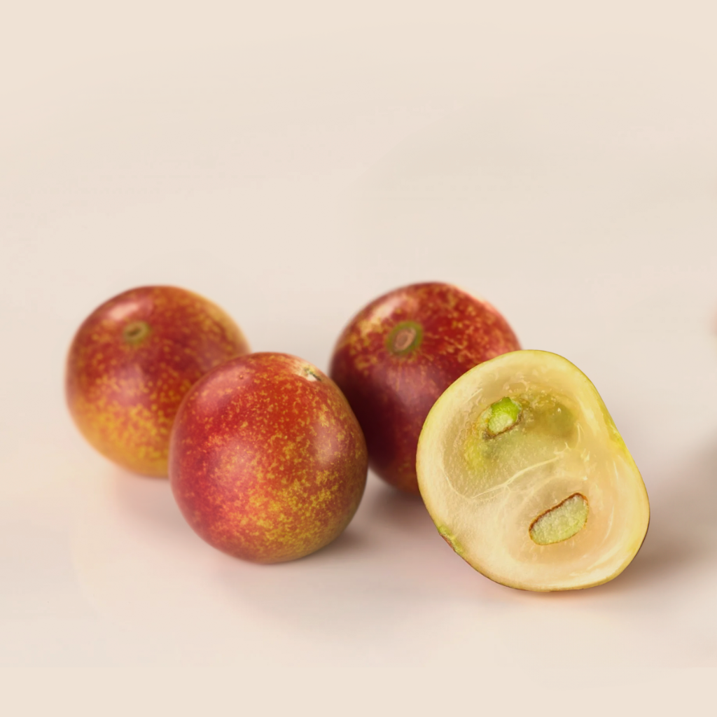 Camu-camu en polvo