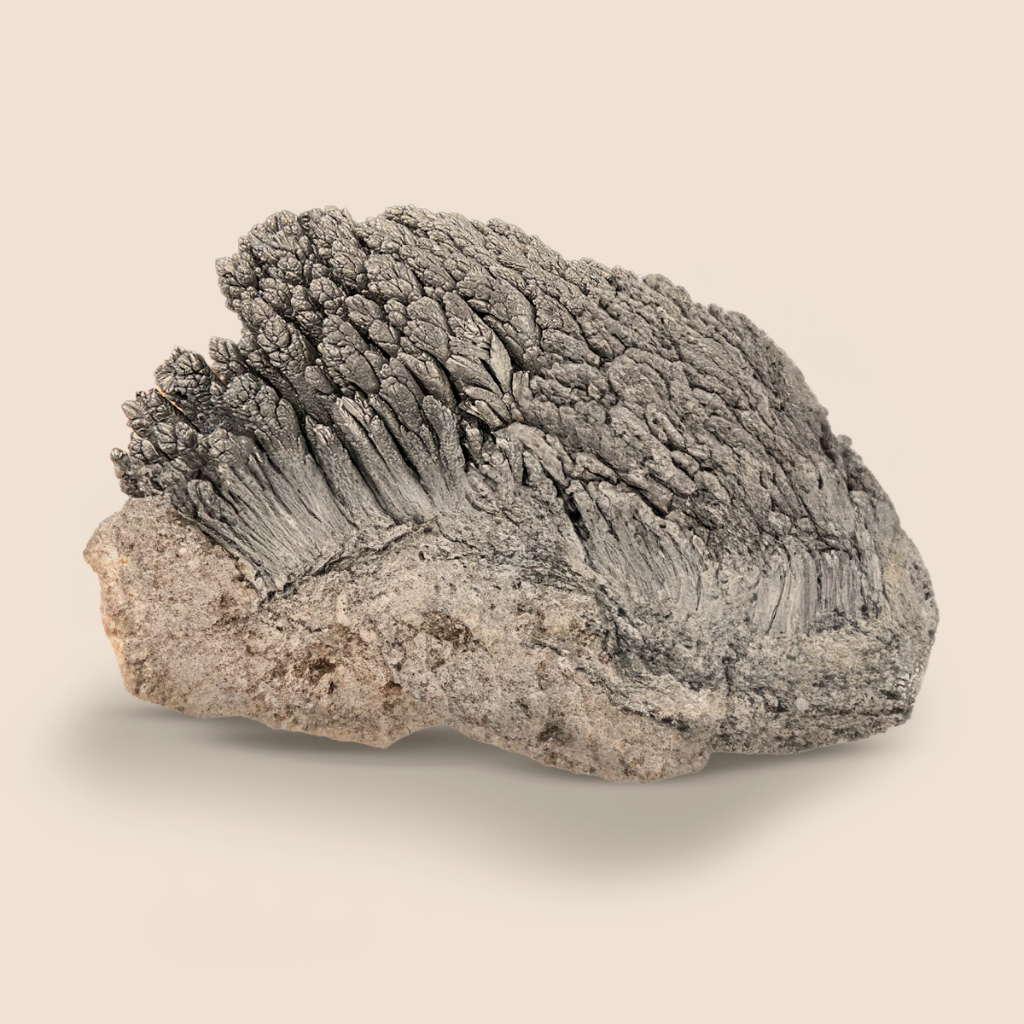 Glicinato de Magnesio