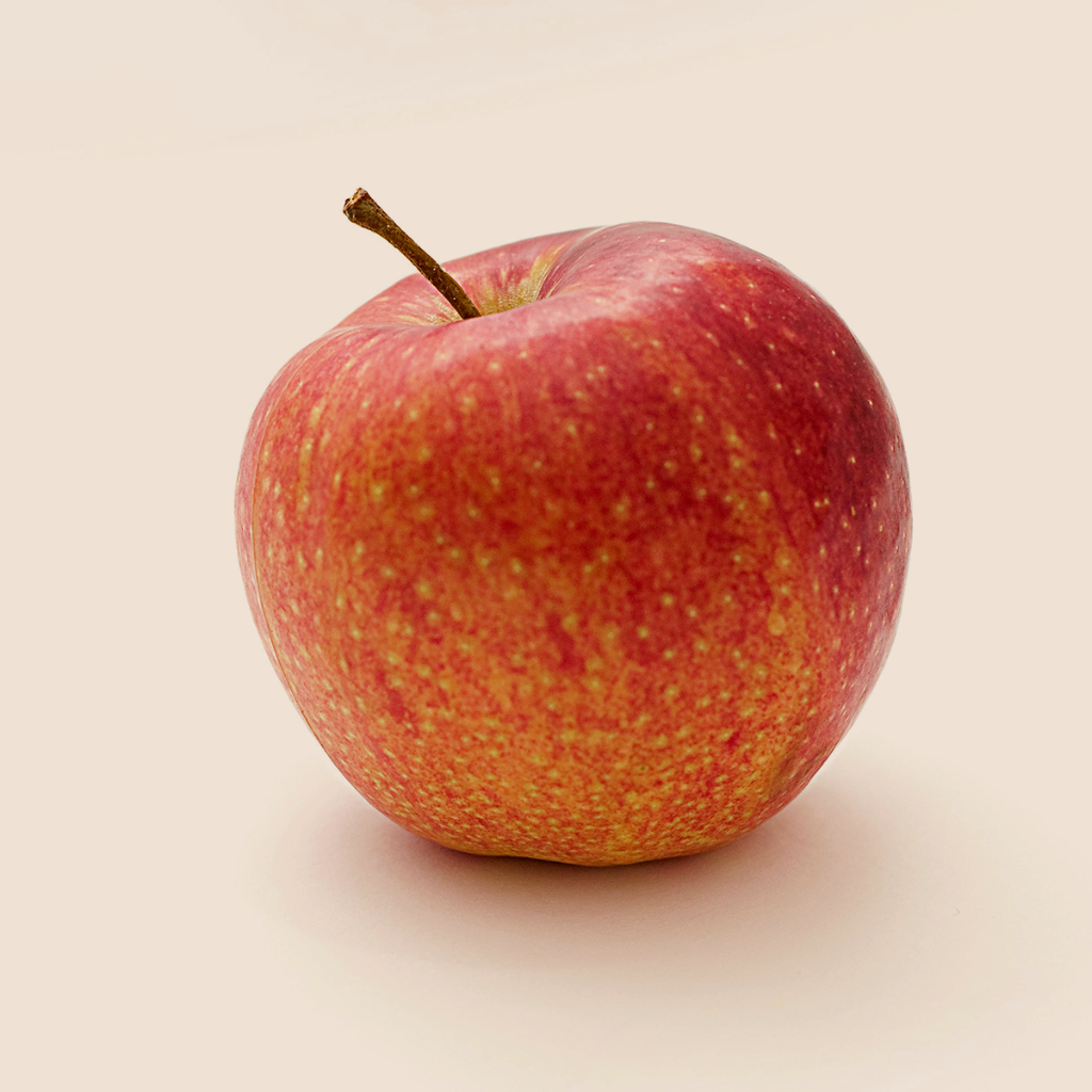 Vinagre de manzana en polvo