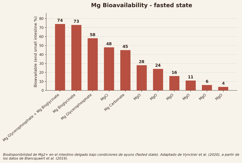 Gráfica de biodisponibilidad de Mg²⁺ en intestino delgado bajo condiciones de ayuno (fasted state). Adaptado de Vynckier et al. (2020), a partir de Blancquaert et al. (2019).