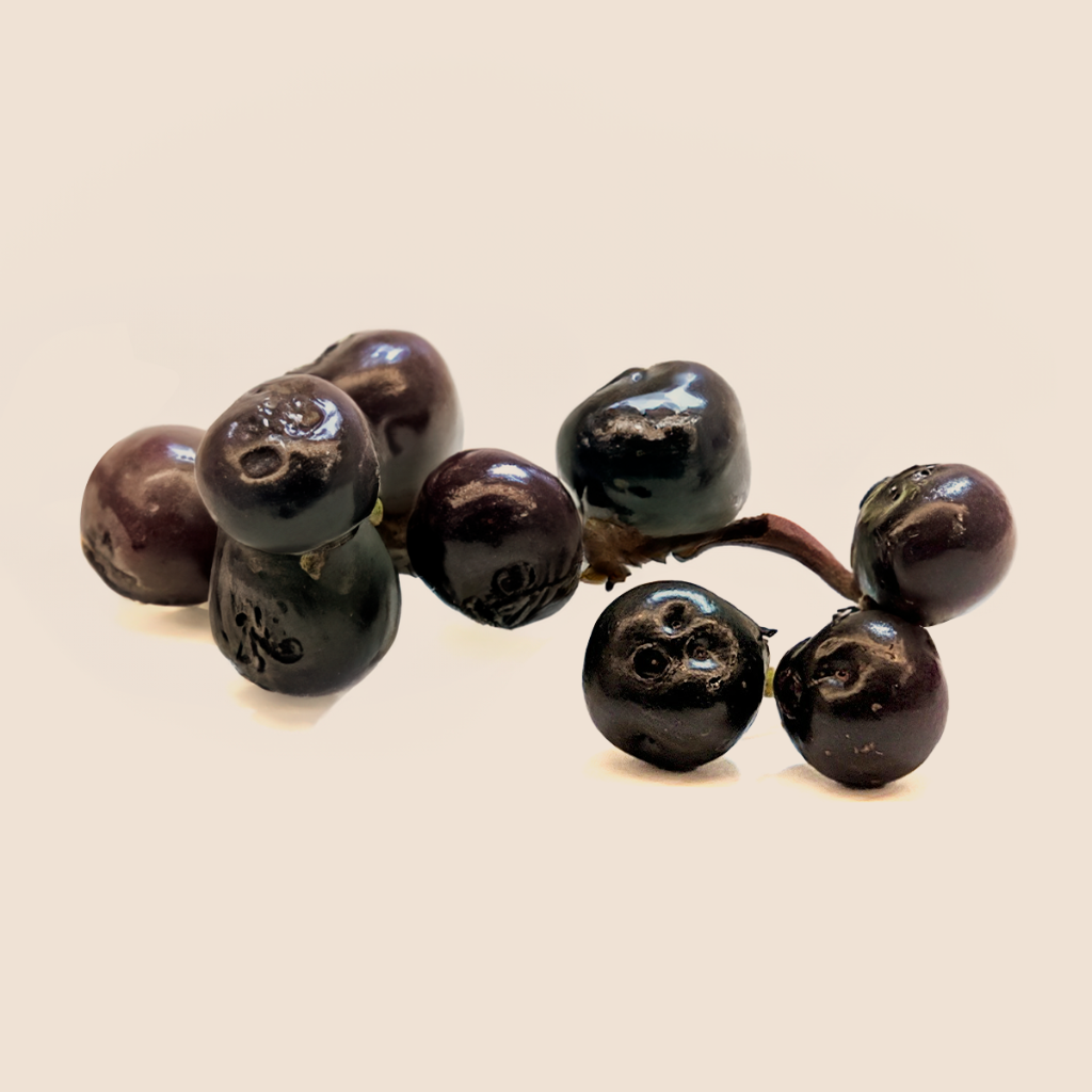 Açaí en polvo